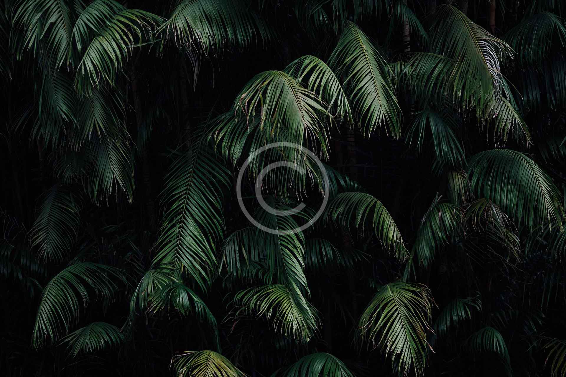 Core Contract Logistics